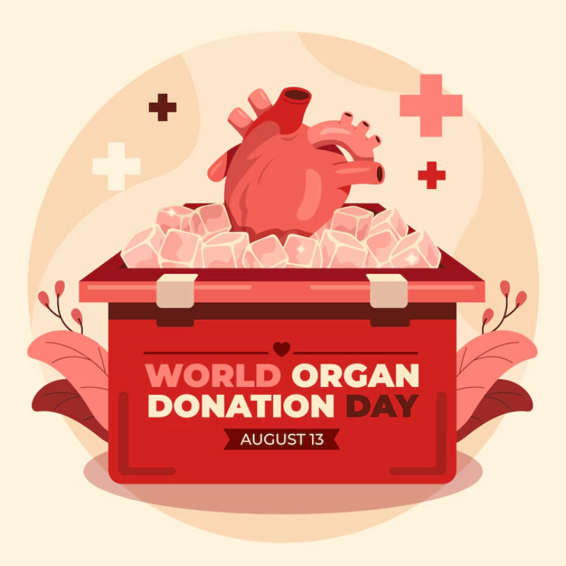 World Organ Donation Day 2024 Understanding Theme, History And